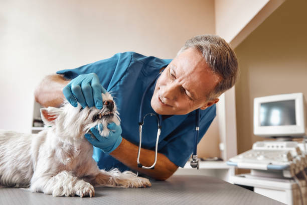 Best Urgent Dental Care in Mcloud, OK